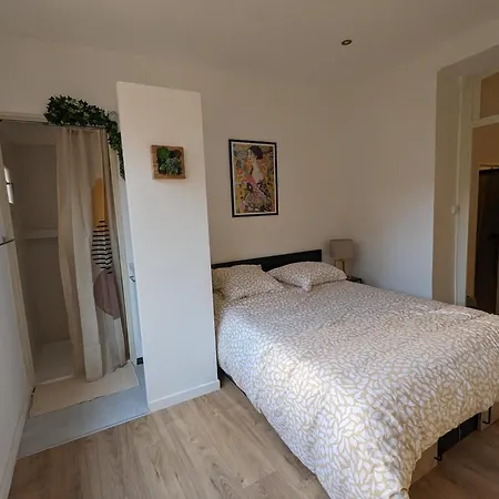 Апартаменты Proche Du Centre Ville, Calme, Climatise, Avec 2 Salles D'eau